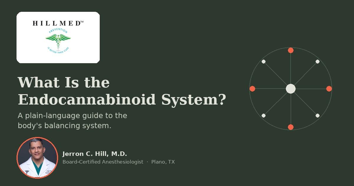 What Is the Endocannabinoid System? A Simple Guide